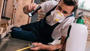 Commercial Pest Control: Expert Tips For A Pest-Free Property