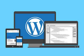 How To Develop A WordPress Website