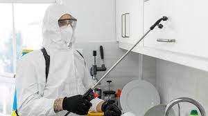 How To Get Rid Of Pests: Ultimate Guide