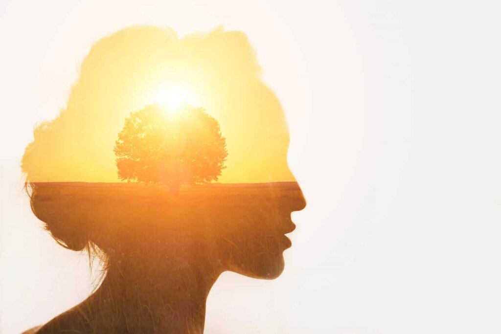 Discover The Best Techniques For Personal Growth And Happiness